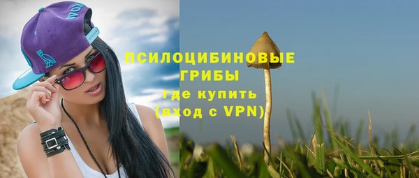 mix Пестово