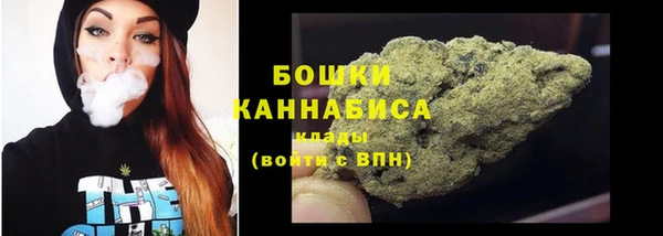 ECSTASY Пересвет