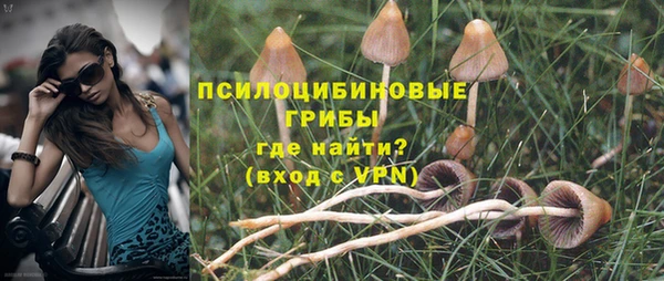 ECSTASY Пересвет