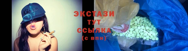 ECSTASY Пересвет