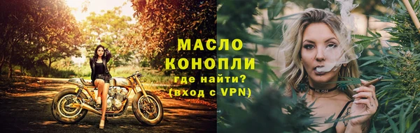 ECSTASY Пересвет
