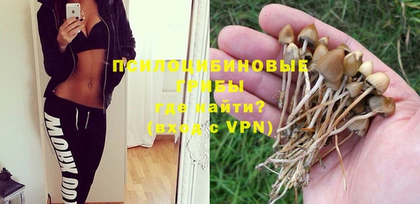 mix Пестово