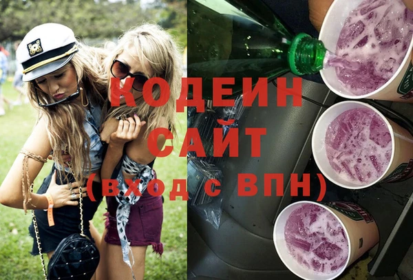 ECSTASY Пересвет