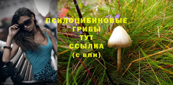 ECSTASY Пересвет
