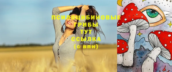 ECSTASY Переславль-Залесский